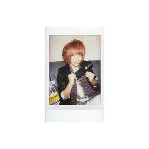 中古生写真(男性) DaizyStrippe/風...の商品画像
