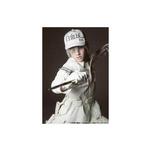 中古生写真(男性) 和田雅成(白血球(好中球))/上半身・背景黒・キャラクターショット/体内活劇「は...