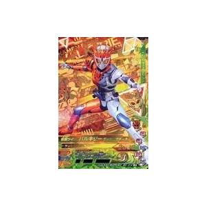 仮面ライダーバトル ガンバライジング ガンバライジング 仮面ライダー