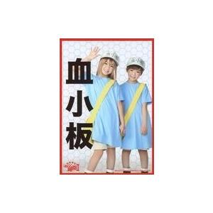 中古生写真(女性) 田中紗羽(血小板)・木村奏南(血小板)/膝上・名前入り・枠赤・キャラクターショッ...