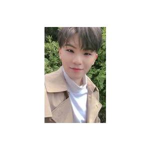 中古コレクションカード(男性) SEVENTEEN/WOOZI(ウジ)/バストアップ・衣装ベージュ・...