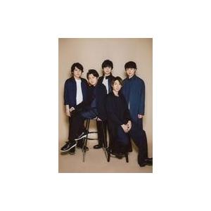 嵐 ARASHI EXHIBITION JOURNEY 嵐を旅する展覧会 スノードーム [良品