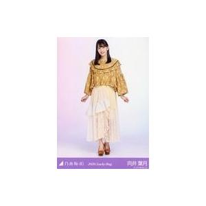 中古生写真(坂道シリーズ) 向井葉月/全身/2020 福袋 Lucky Bag