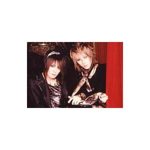 中古生写真(男性) ウ゛ィドール/ジュイ・ギル/横型・バストアップ・衣装黒・ヒョウ柄・ジュイ両手スカーフ・カ