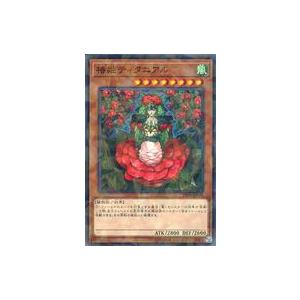 中古遊戯王 DBSS-JP041[NP]:椿姫テ...の商品画像
