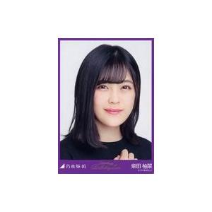 中古コレクションカード(乃木坂46) 柴田柚菜/...の商品画像