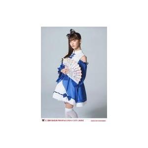中古生写真(女性) 上坂すみれ/膝上・衣装青.白・右手扇子・背景グレー/「上坂すみれのPROPAGANDA CITY 2020」キャー変態!!!!ブロマ