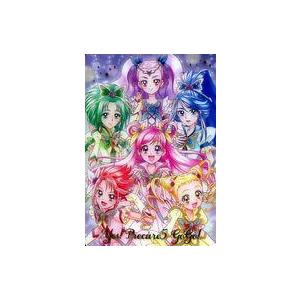 BANDAI（バンダイ） No.27 Yes!プリキュア5 SSR (2583147) プリキュア