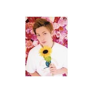 中古生写真(男性) 川上将大/「Freedom Event Vol.3」ブロマイド