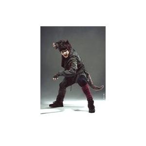 中古生写真(男性) 赤澤遼太郎(赤虎)/全身・キャラクターショット/舞台「銀牙 -流れ星 銀-」〜牙...