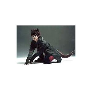 中古生写真(男性) 赤澤遼太郎(赤虎)/横型・キャラクターショット/舞台「銀牙 -流れ星 銀-」〜牙...