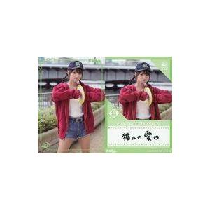 中古コレクションカード(女性) VACC-08/SP-026-N[ノーマル]：高野麻里佳/スポーツ日...