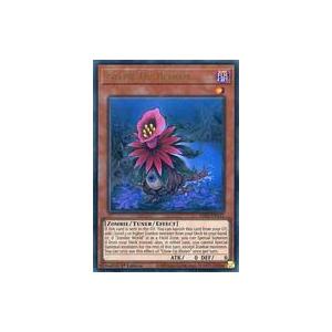 中古遊戯王 GFP2-EN115[UR]：Glow-Up Bloom/グローアップ・ブルーム