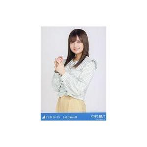 中古生写真(坂道シリーズ) 中村麗乃/上半身・フ...の商品画像