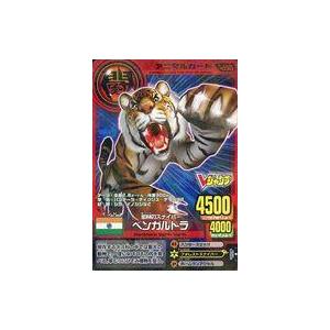 ステムディヴィエイト・ドラゴン SIR D-SS11/SIR22 ヴァンガード : B