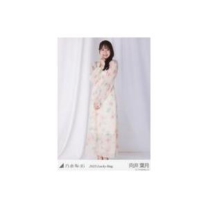 中古生写真(乃木坂46) 向井葉月/全身/2023 福袋 Lucky Bag 「パステル」