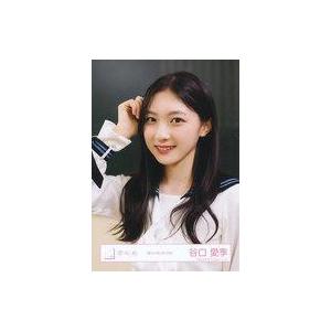 乃木坂46 生写真 川崎桜 おひとりさま天国 : ReShop GAKU - 通販