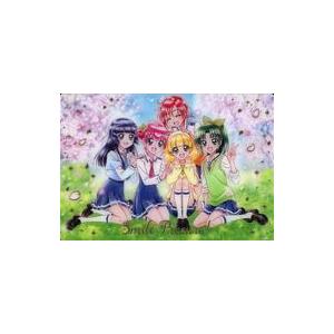 BANDAI（バンダイ） No.19 Maho girls Precure！ SSR (2767234