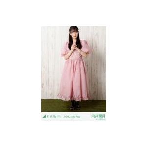 中古生写真(坂道シリーズ) 向井葉月/全身/2024 福袋 Lucky Bag 「カレンダー衣装」