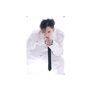 中古コレクションカード(男性) Novel Core/DVD・Blu-ray「ONEMAN LIVE...