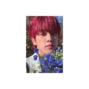 中古コレクションカード(男性) JO1/河野純喜/CD「BE CLASSIC」初回限定盤A(YR-1266)封入特典セルカトレーディングカード