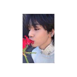 中古コレクションカード(男性) JO1/豆原一成/CD「BE CLASSIC」初回限定盤A(YR-1266)封入特典セルカトレーディングカード