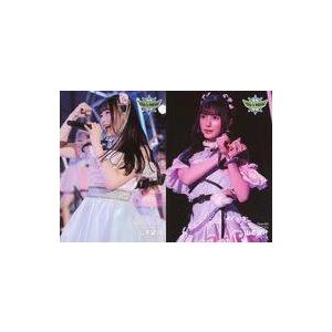中古生写真(AKB48・SKE48) ◇山本望叶/This Is NMB48 2024 ランダム生写...