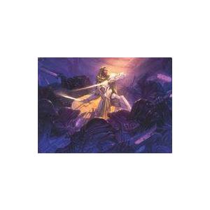 中古アニメ系トレカ 25/54[ノーマル]：サンスターの模範、ヴォンダム卿