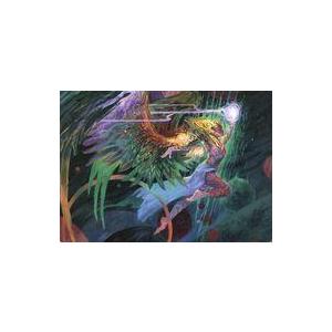 中古アニメ系トレカ 3/54[ノーマル]：Exalted Sunborn