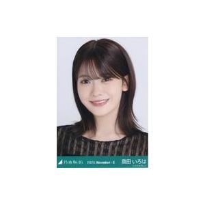 中古生写真(坂道シリーズ) 乃木坂46/奥田いろは/バストアップ・スカーフ/「乃木坂46 2025.November-II」WebShop 限定ランダム生写