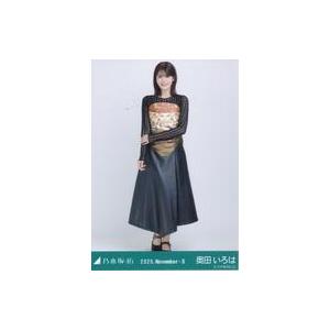 中古生写真(坂道シリーズ) 乃木坂46/奥田いろは/全身・スカーフ/「乃木坂46 2025.November-II」WebShop 限定ランダム生写真