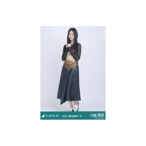 中古生写真(坂道シリーズ) 乃木坂46/川端晃菜/全身・スカーフ/「乃木坂46 2025.November-II」WebShop 限定ランダム生写真