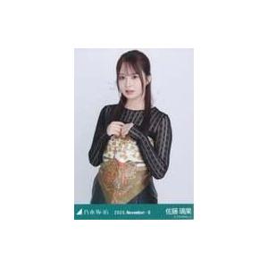中古生写真(坂道シリーズ) 乃木坂46/佐藤璃果/上半身・スカーフ/「乃木坂46 2025.November-II」WebShop 限定ランダム生写真