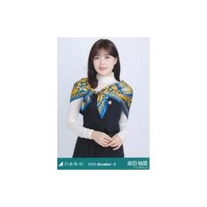 中古生写真(坂道シリーズ) 乃木坂46/柴田柚菜...の商品画像