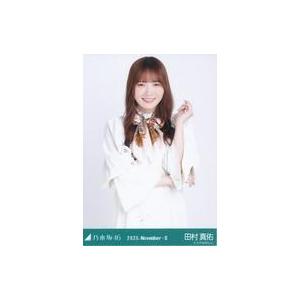 中古生写真(坂道シリーズ) 乃木坂46/田村真佑/上半身・スカーフ/「乃木坂46 2025.November-II」WebShop 限定ランダム生写真