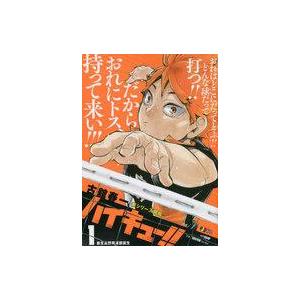 ジャンプコミックス ハイキュー！！ キャラクターリミックス 絆 日向と