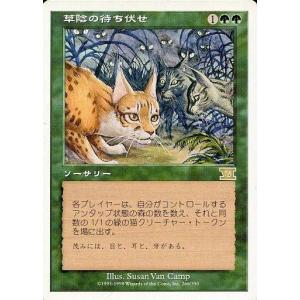 中古MTG 草陰の待ち伏せ 6EDの高価買取価格