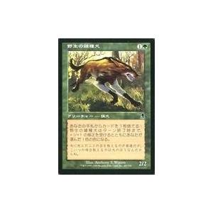 中古マジックザギャザリング 292/350[U]：【ODY】Psychatog/サイカトグ