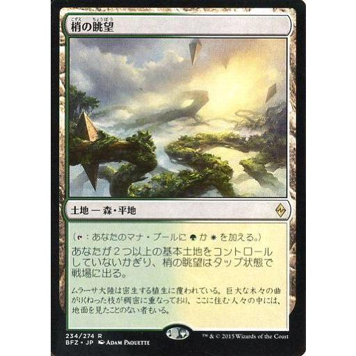 中古マジックザギャザリング [R]：梢の眺望/Canopy Vista