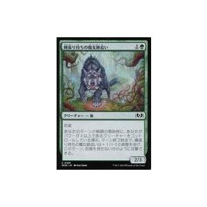 中古マジックザギャザリング 0189[C]：【WOE】縄張り持ちの魔女跡追い/Territorial Witchstalker