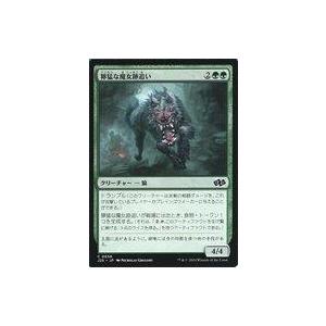 中古マジックザギャザリング 0656[C]：【J25】獰猛な魔女跡追い/Fierce Witchstalker