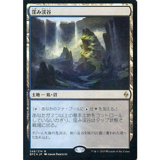 中古マジックザギャザリング [R]：【FOIL】窪み渓谷/Sunken Hollow