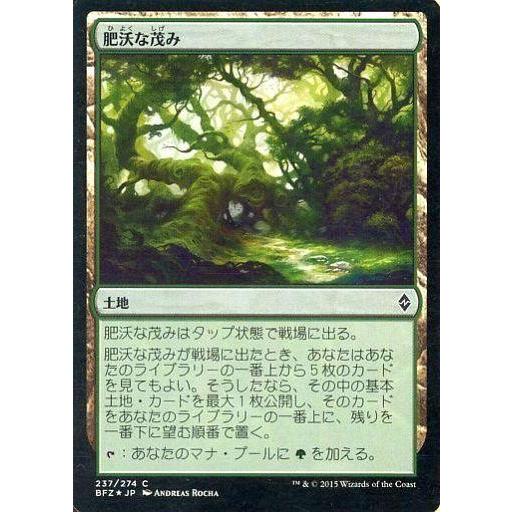 中古マジックザギャザリング [C]：【FOIL】肥沃な茂み/Fertile Thicket