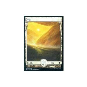 中古マジックザギャザリング [C]：【FOIL】平地(250/274)/Plains(250/274...