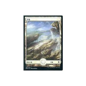 中古マジックザギャザリング [C]：【FOIL】平地(251/274)/Plains(251/274...