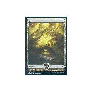 中古マジックザギャザリング [C]：【FOIL】沼(260/274)/Swamp(260/274)(...