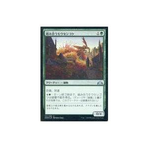中古マジックザギャザリング 131/259[U]：【FOIL】絡み合うモウセンゴケ/Grapplin...