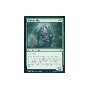 中古マジックザギャザリング [C]：【FOIL】獰猛な魔女跡追い/Fierce Witchstalker