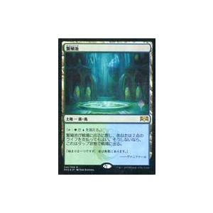 中古マジックザギャザリング [R]：【FOIL】繁殖池(プロモスタンプ入り)/Breeding Po...