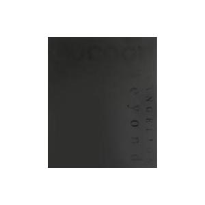 中古パンフレット パンフ)theatre cocoon EVANGELION Beyond 舞台・エ...